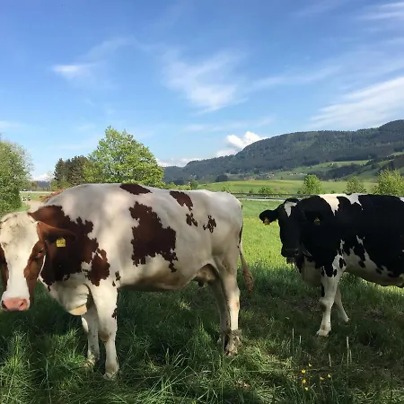 Weitnaustyle - Renoviert, Modern, Allergikerfreundlich Lägenhet *