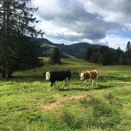 Weitnaustyle - Renoviert, Modern, Allergikerfreundlich Lägenhet