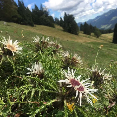 Lägenhet Weitnaustyle - Renoviert, Modern, Allergikerfreundlich *