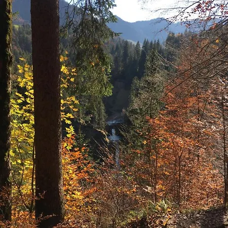 Weitnaustyle - Renoviert, Modern, Allergikerfreundlich