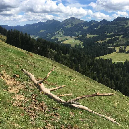 Weitnaustyle - Renoviert, Modern, Allergikerfreundlich * Weitnau