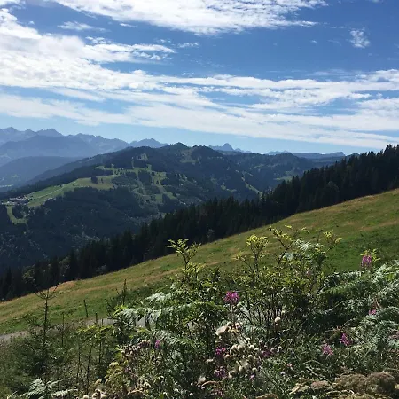 Weitnaustyle - Renoviert, Modern, Allergikerfreundlich