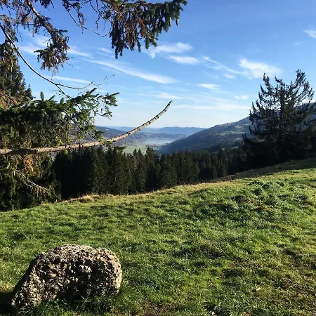 Weitnaustyle - Renoviert, Modern, Allergikerfreundlich