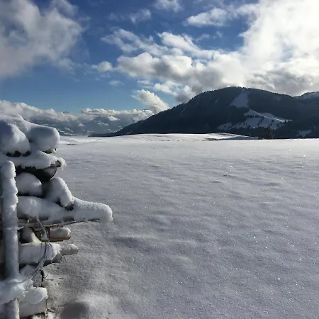 Lägenhet Weitnaustyle - Renoviert, Modern, Allergikerfreundlich
