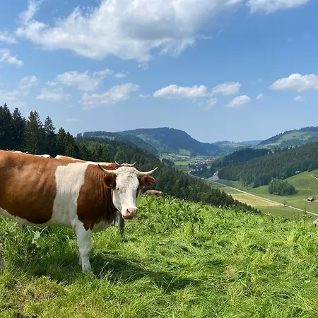 Weitnaustyle - Renoviert, Modern, Allergikerfreundlich Weitnau
