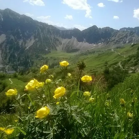Weitnaustyle - Renoviert, Modern, Allergikerfreundlich Weitnau