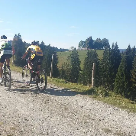 Lägenhet Weitnaustyle - Renoviert, Modern, Allergikerfreundlich *