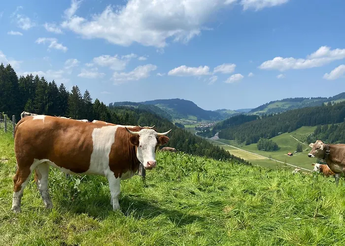 Weitnaustyle Weitnau