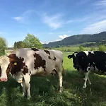 Weitnaustyle - Renoviert, Modern, Allergikerfreundlich 아파트 *