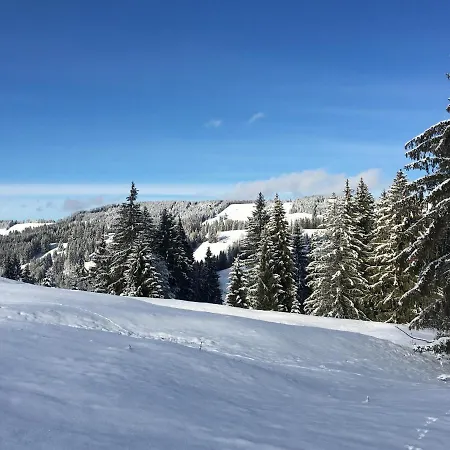 Apartmán Weitnaustyle - Renoviert, Modern, Allergikerfreundlich Weitnau