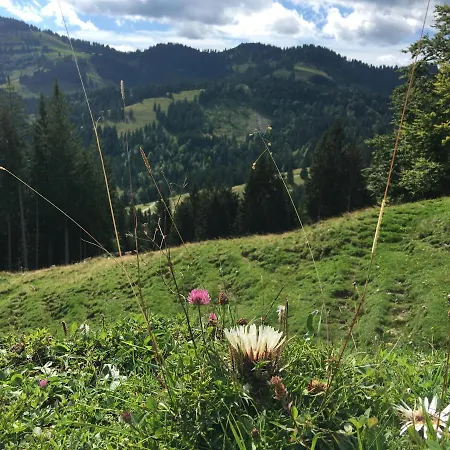 Weitnaustyle - Renoviert, Modern, Allergikerfreundlich *