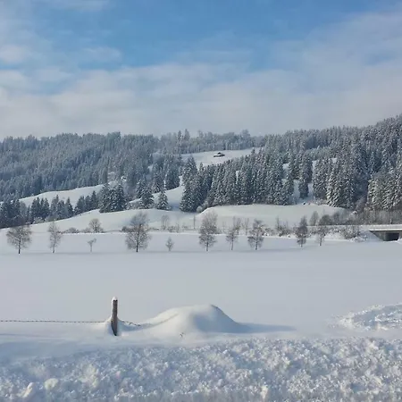 Weitnaustyle - Renoviert, Modern, Allergikerfreundlich Apartmán Weitnau