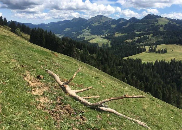 Weitnaustyle - Renoviert, Modern, Allergikerfreundlich * Weitnau